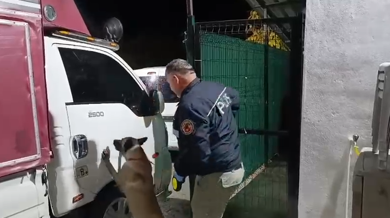 Samsun'a taşıyordu! Zehir sevkiyatına "Şila" darbesi!