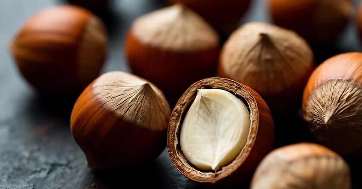 İndepentdent'te ilginç fındık yorumu: "Fındık simsarı haline getirdik"