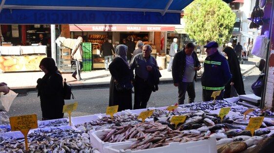 Samsun'da hamsi bolluğu: Sofralar şenlendi, işte fiyatlar 