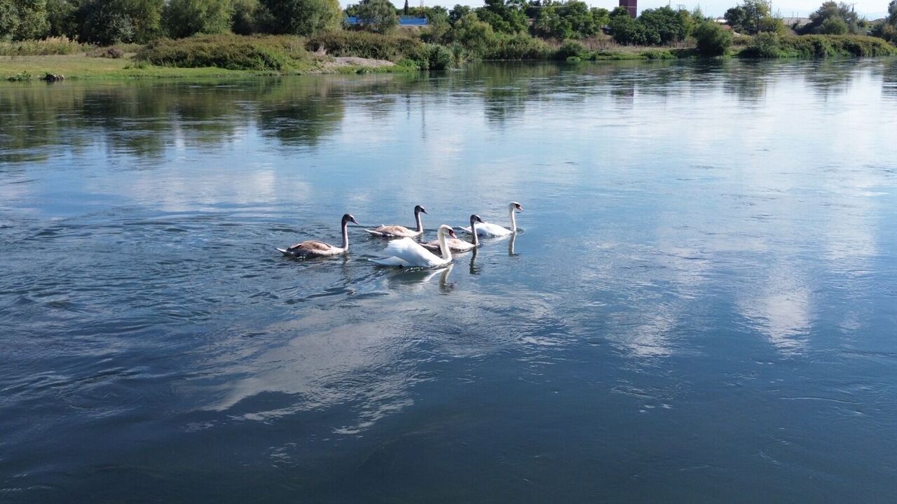 Whatsapp Image 2025 10 01 At 14.56.23 (1)