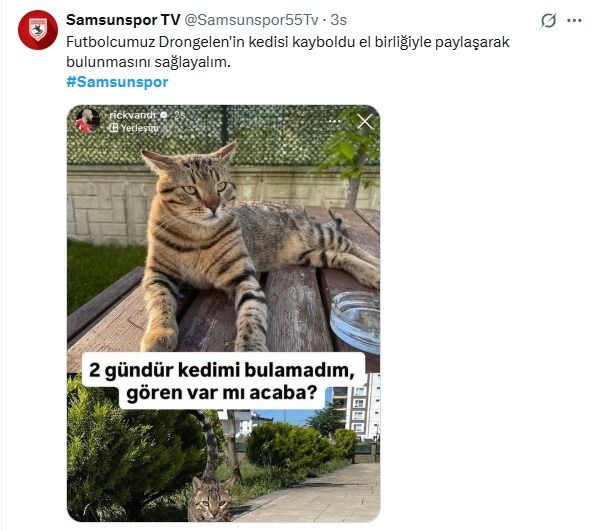 Whatsapp Image 2025 10 07 At 16.46.59