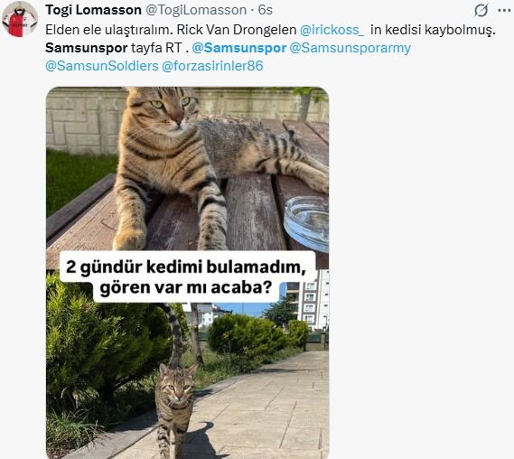 Whatsapp Image 2025 10 07 At 16.47.00 (1)