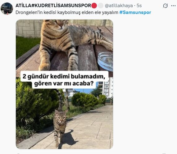 Whatsapp Image 2025 10 07 At 16.47.00