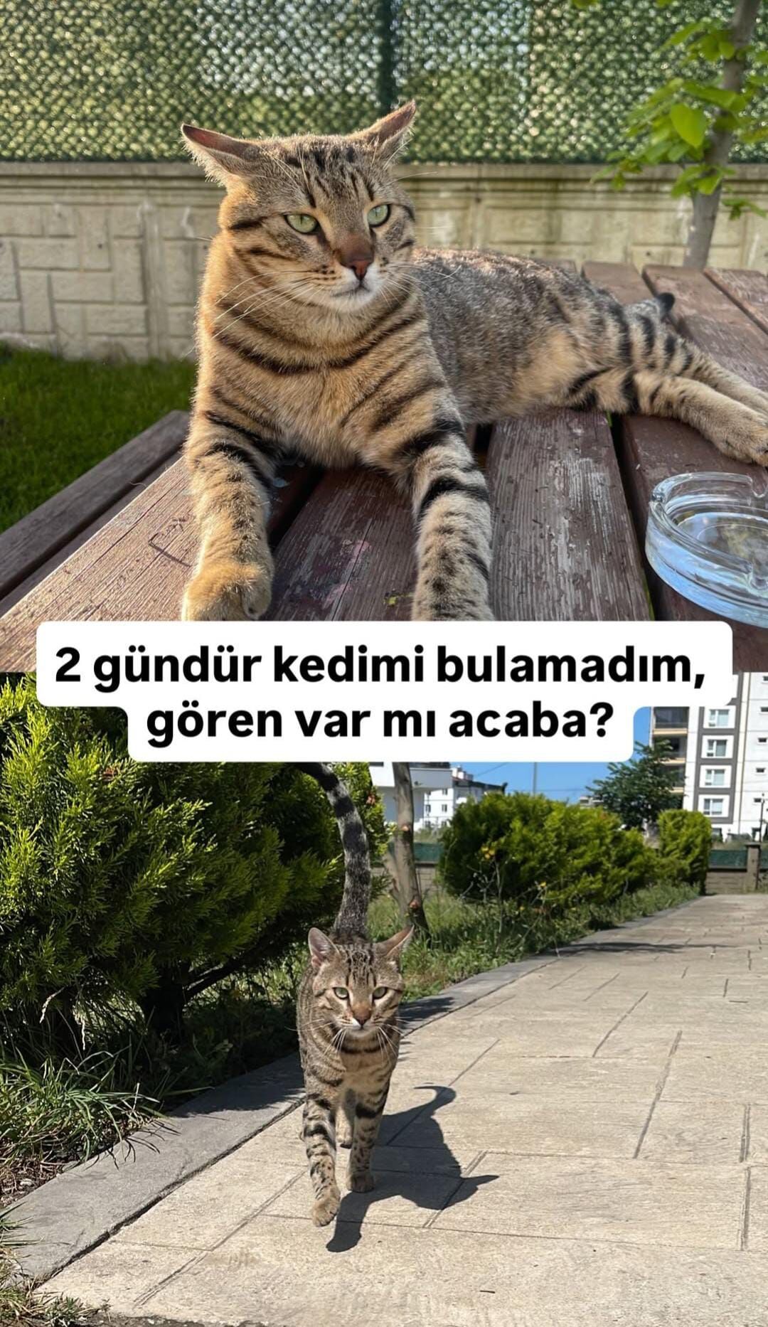 Whatsapp Image 2025 10 07 At 16.54.36