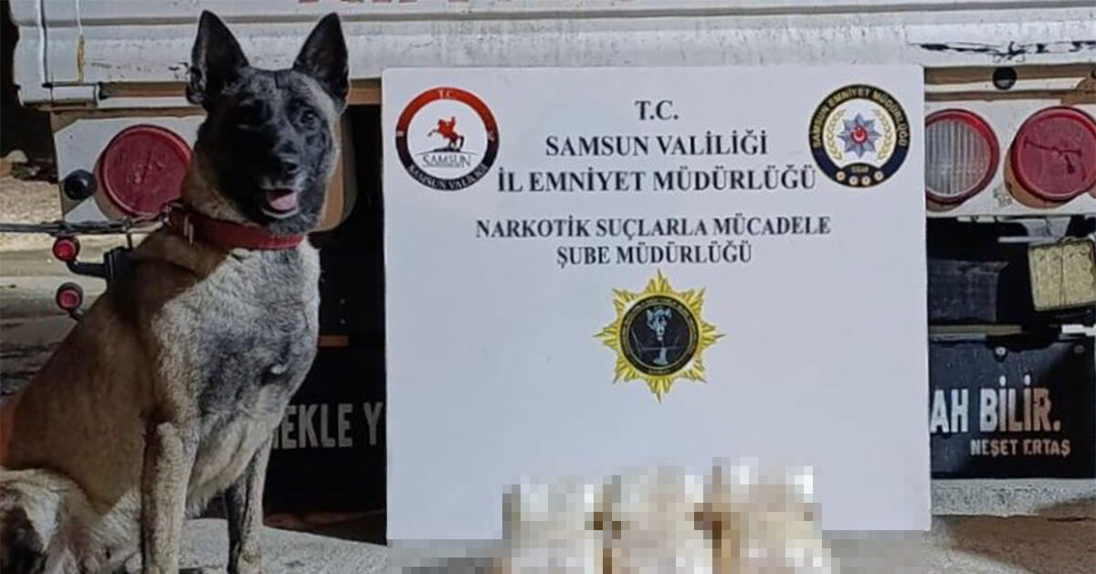 Samsun'a taşıyordu! Zehir sevkiyatına "Şila" darbesi!