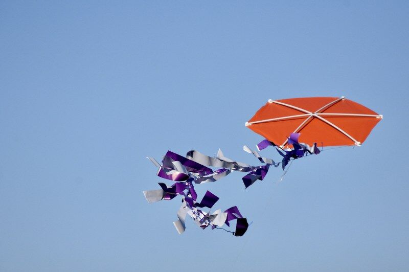 Samsun'da uçurtmalar farkındalık için havalandı!