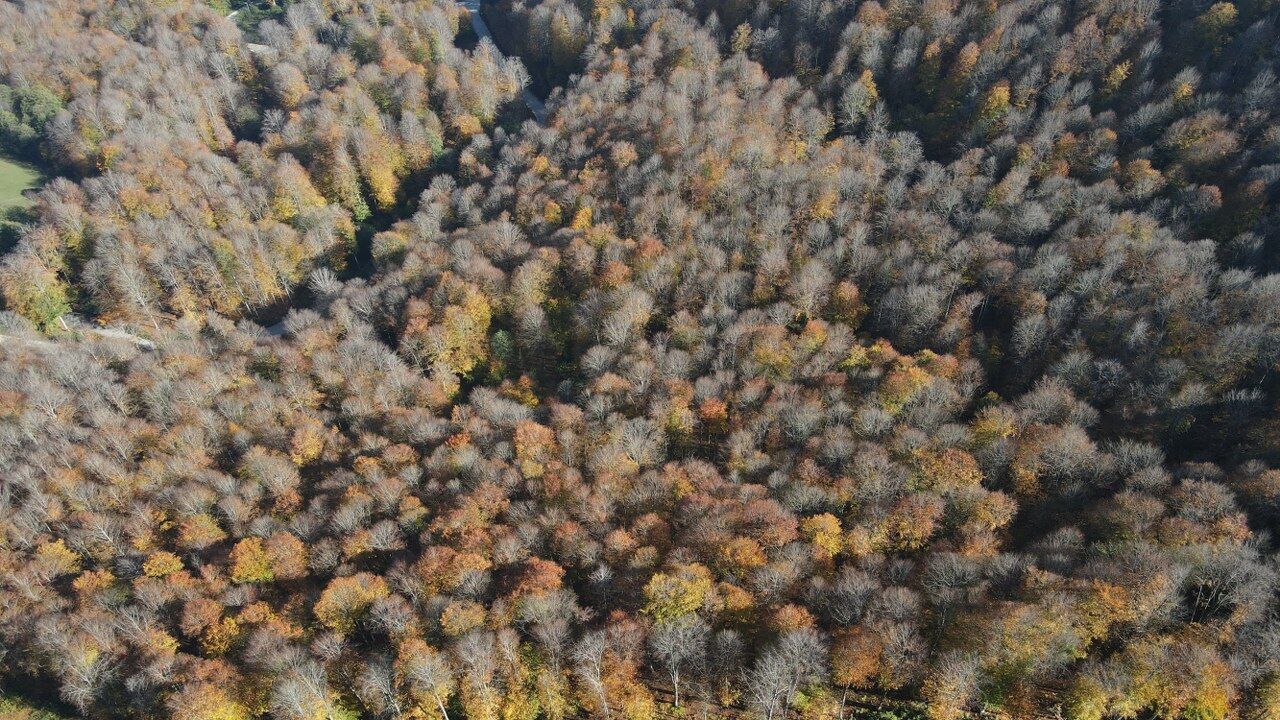 A A 20251102 39591239 39591235 S A M S U N D A K I N E B I Y A N D A G I S O N B A H A R R E N K L E R I N E B U R U N D U 1280X720