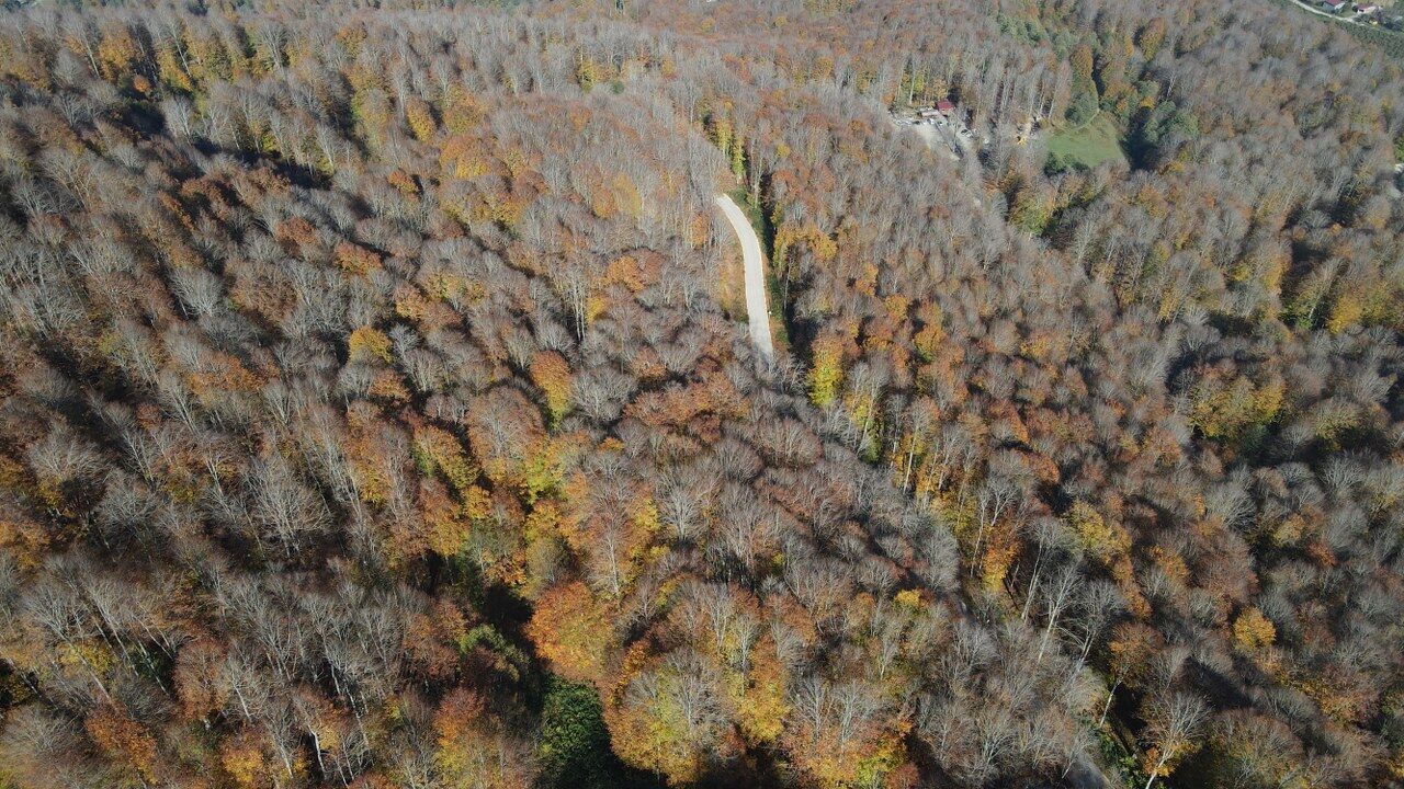 A A 20251102 39591239 39591236 S A M S U N D A K I N E B I Y A N D A G I S O N B A H A R R E N K L E R I N E B U R U N D U 1280X720