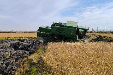 Samsun'da silahlı kavga: 2 kardeş yaralı