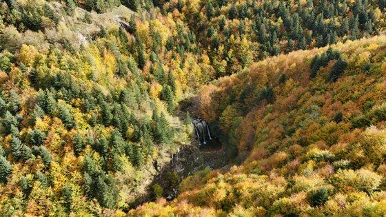 Alaçam'ın gizli cenneti için harekete geçildi! 