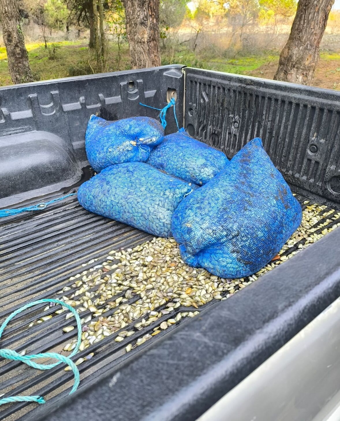 A A 20251107 39645303 39645302 S A M S U N D A D E N I Z D E C U V A L L A R A S A K L A N M I S 200 K I L O G R A M M I D Y E E L E G E C I R I L D I