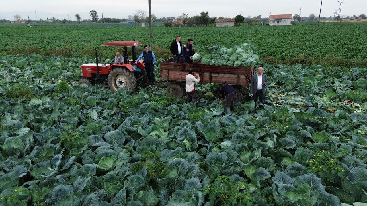 A A 20251108 39649289 39649278 B A F R A O V A S I N D A B E Y A Z L A H A N A H A S A D I B A S L A D I 1280X720