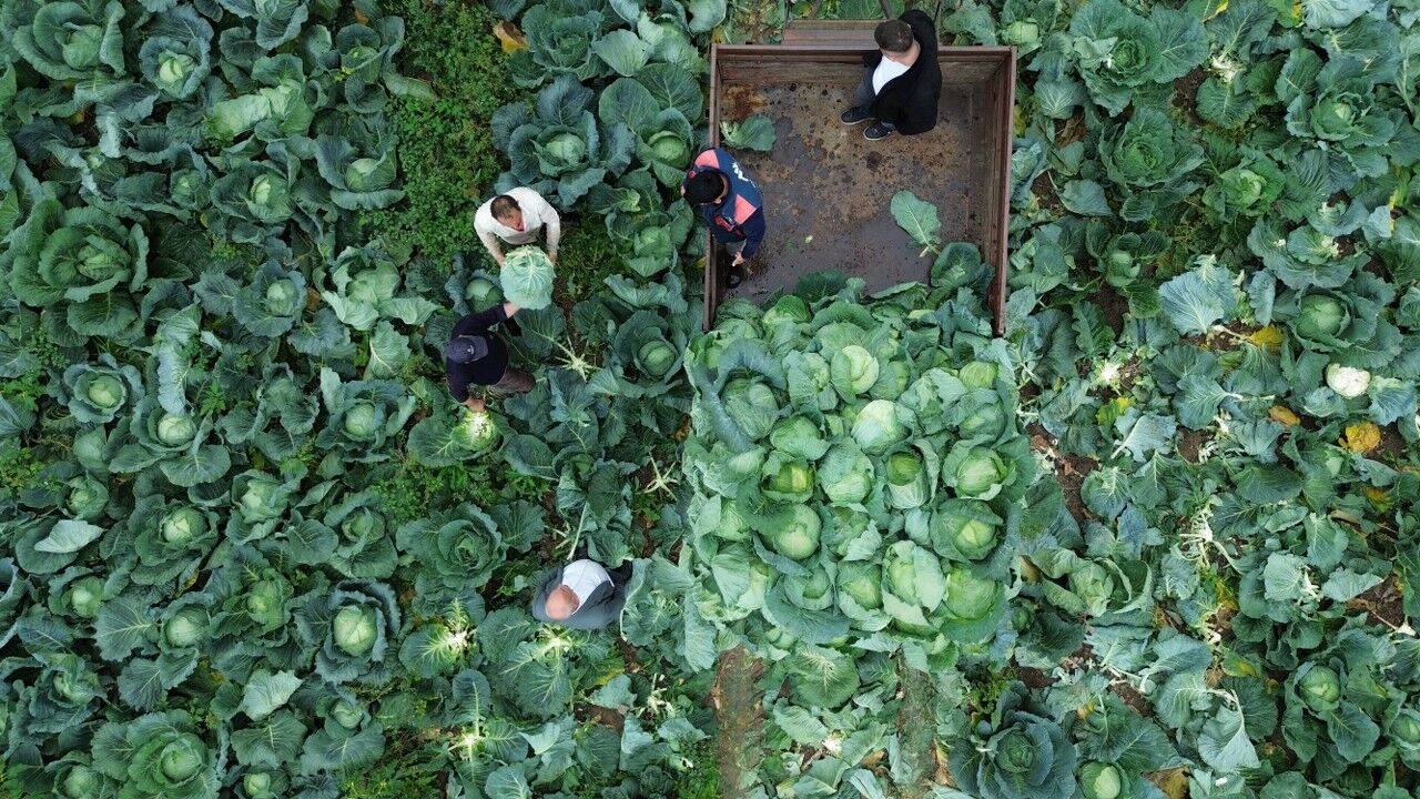 A A 20251108 39649289 39649279 B A F R A O V A S I N D A B E Y A Z L A H A N A H A S A D I B A S L A D I 1280X720