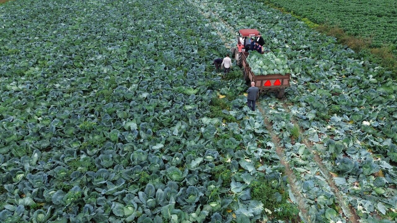 A A 20251108 39649289 39649280 B A F R A O V A S I N D A B E Y A Z L A H A N A H A S A D I B A S L A D I 1280X720