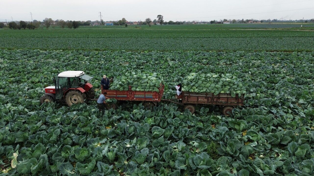 A A 20251108 39649289 39649283 B A F R A O V A S I N D A B E Y A Z L A H A N A H A S A D I B A S L A D I 1280X720