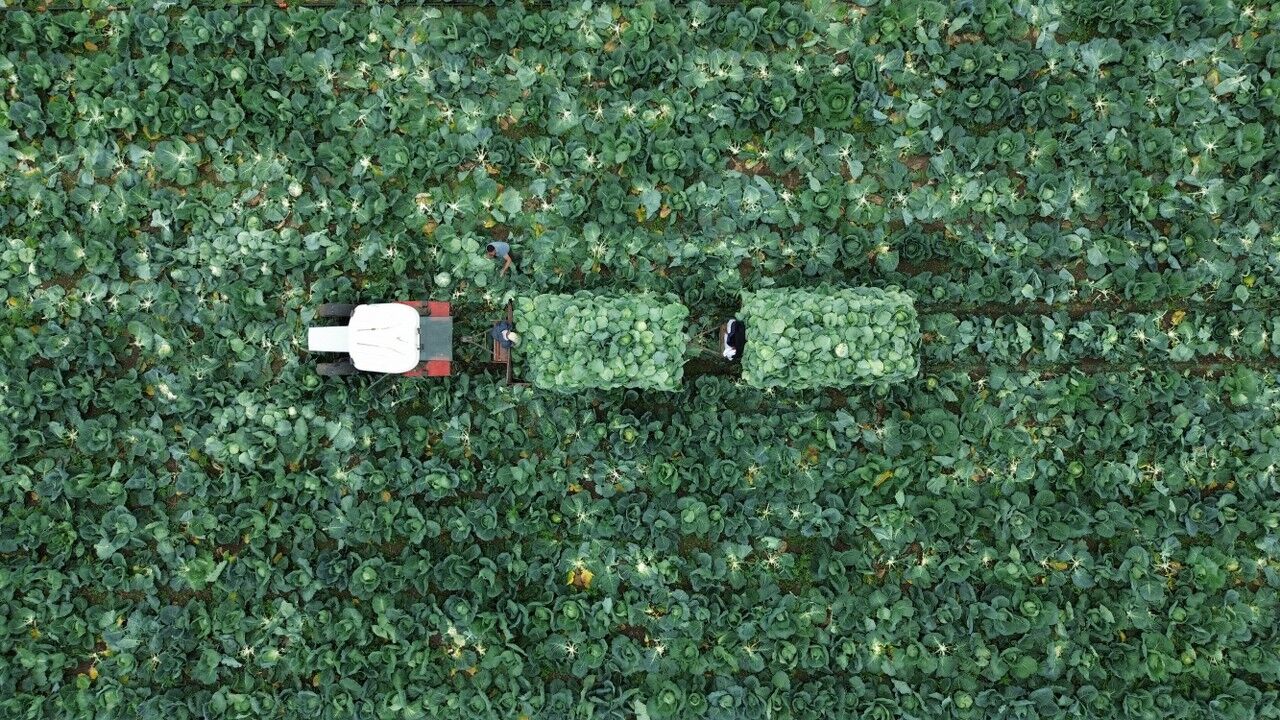 A A 20251108 39649289 39649285 B A F R A O V A S I N D A B E Y A Z L A H A N A H A S A D I B A S L A D I 1280X720