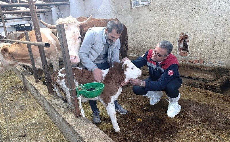 Samsun Tarım ve Orman Müdürü Yılmaz, besicileri dinledi
