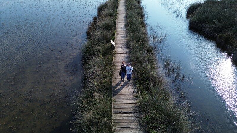 Samsun Kuş Cenneti'ne yoğun ilgi! Doğanın kalbine yolculuk 