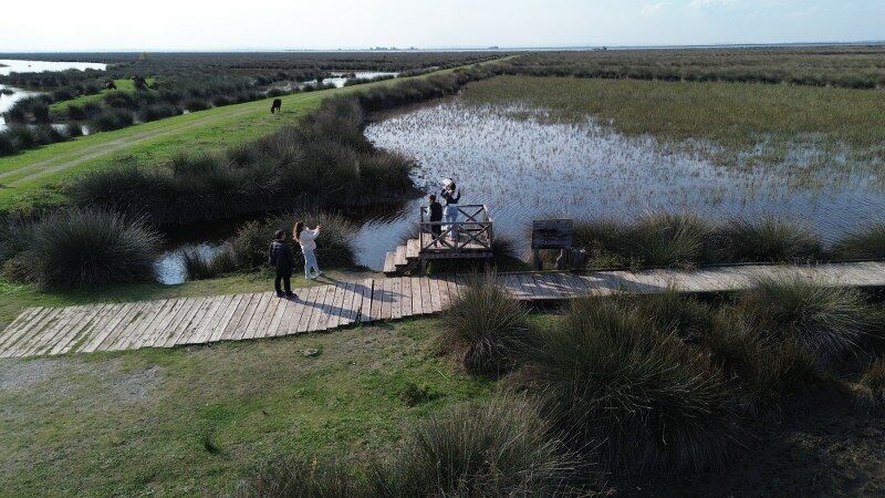 Samsun Kuş Cenneti'ne yoğun ilgi! Doğanın kalbine yolculuk 