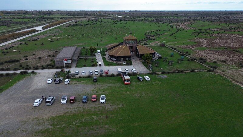 Samsun Kuş Cenneti'ne yoğun ilgi! Doğanın kalbine yolculuk 