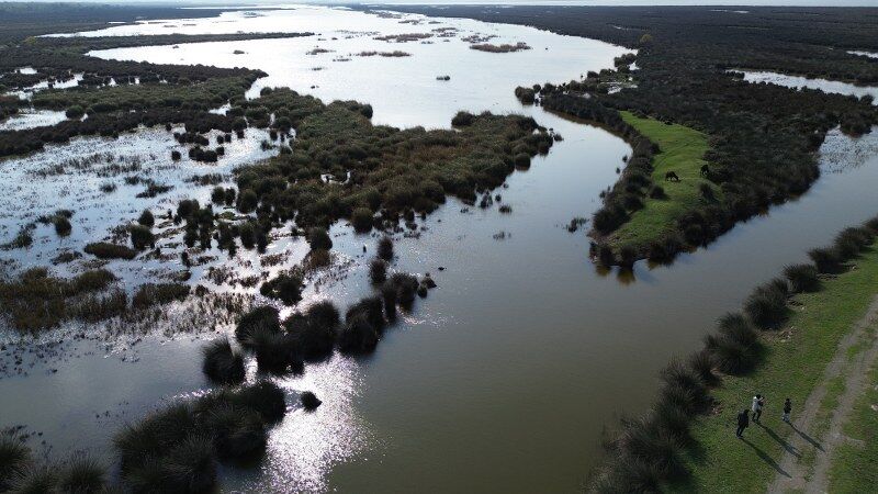 Samsun Kuş Cenneti'ne yoğun ilgi! Doğanın kalbine yolculuk