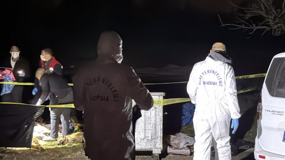 Samsun'da köpek katliamı! Valilikten açıklama 