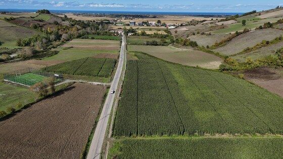 Samsun'da 700 üreticiye can suyu!