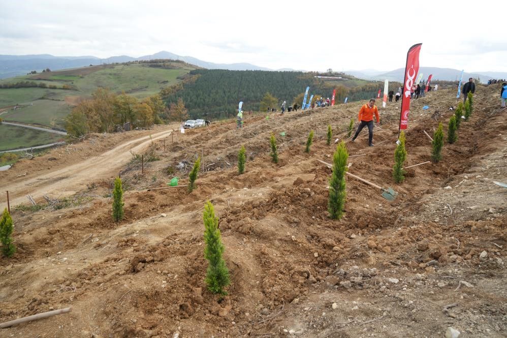 Samsun'da 37 bin fidan toprakla buluşacak!