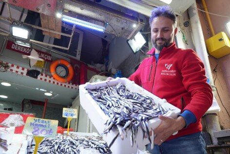 Samsun'da balıkçılar şaşkın! Fiyat azaldı ama...