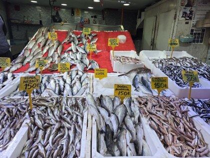 Samsun'da balıkçılar şaşkın! Fiyat azaldı ama...