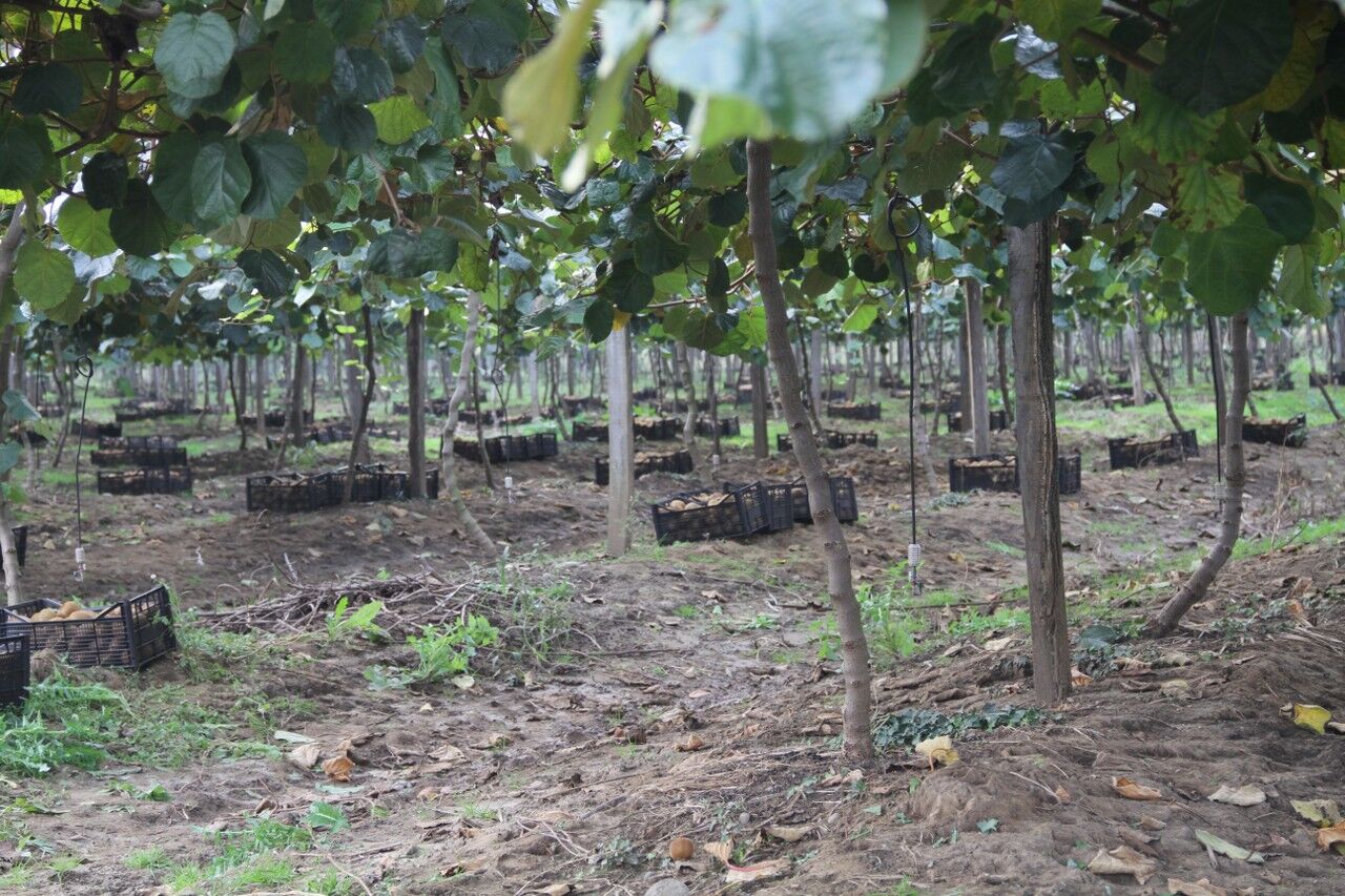 A W574372 02 1280X853