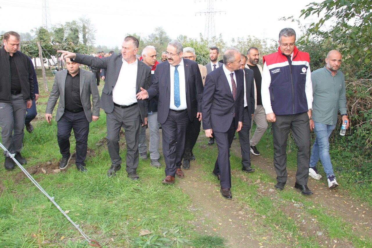 A W574372 03 1280X853