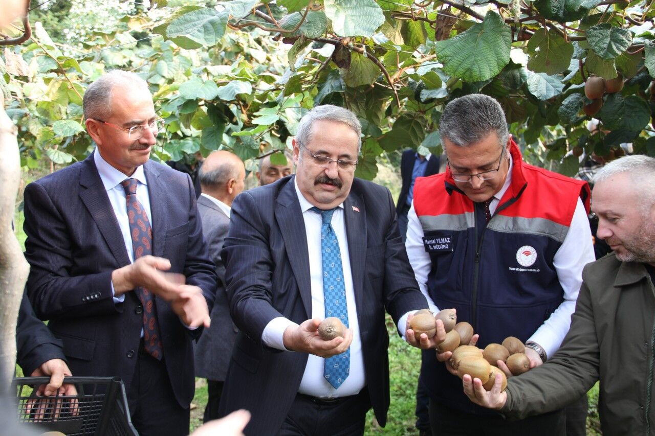 A W574372 05 1280X853