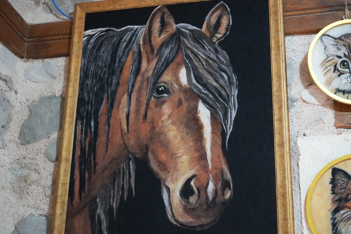 A W575549 06 1200X800