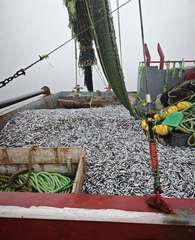 A W576767 01 651X800