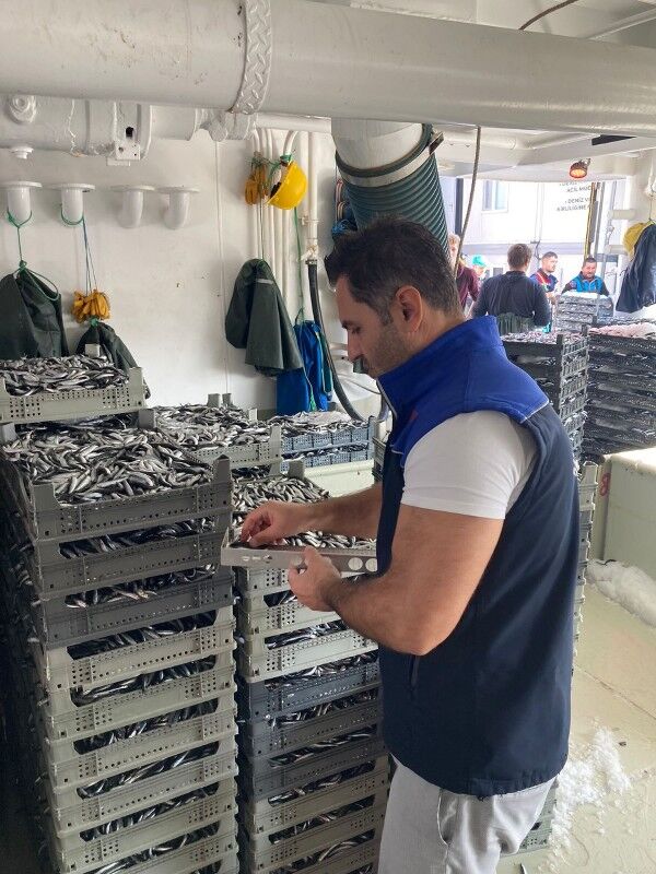 A W576767 02 600X800