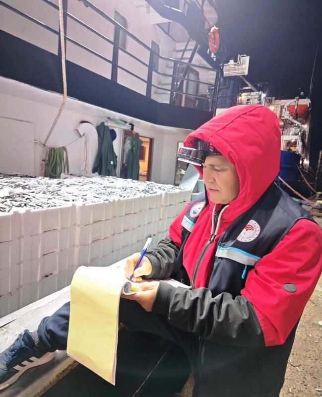 A W576767 04 649X800