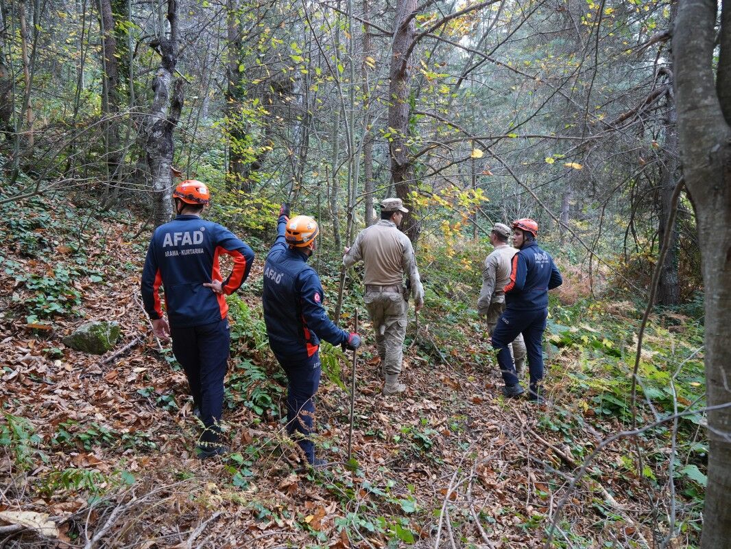 A W576783 01 1066X800