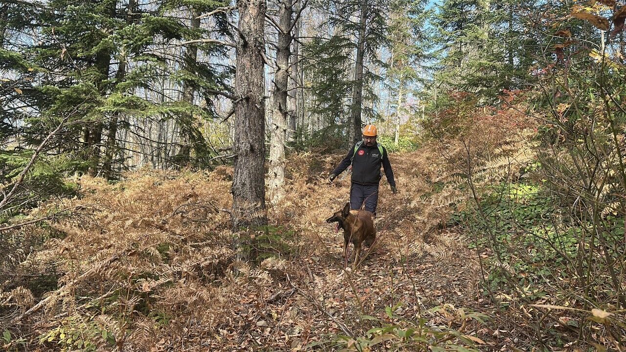 A W576783 06 1280X720