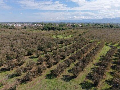 Çarşamba Ovası için tehlike çanları çalıyor! Yapısı değişiyor 