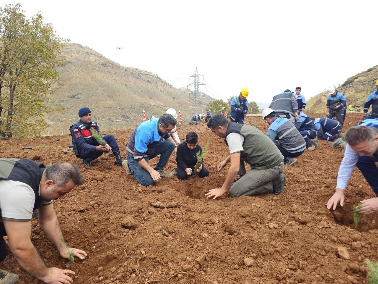 Samsun'da ağaçlandırma seferberliği!