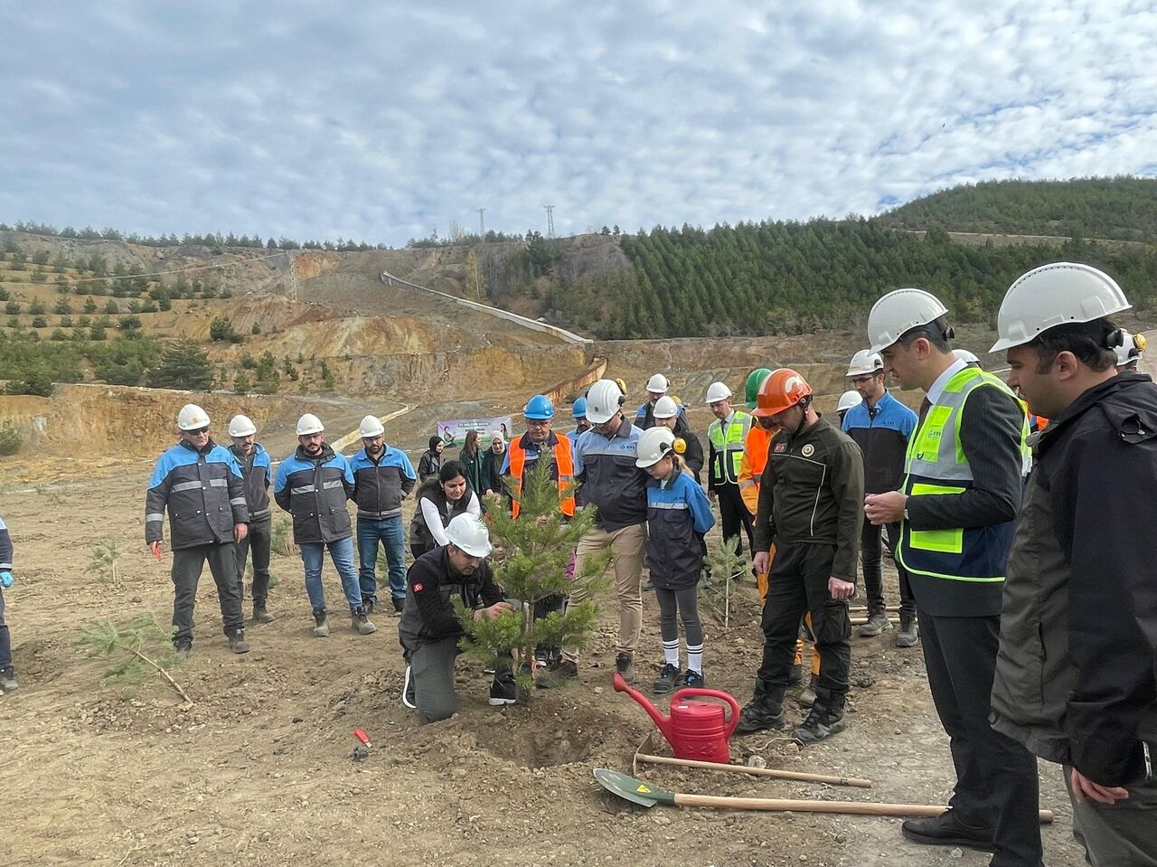 Samsun'da ağaçlandırma seferberliği!
