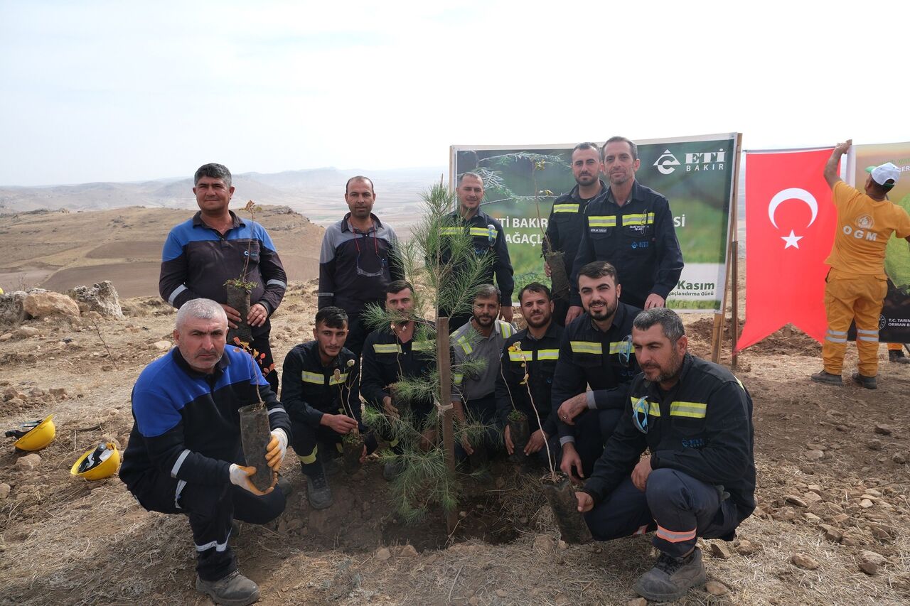 Samsun'da ağaçlandırma seferberliği!