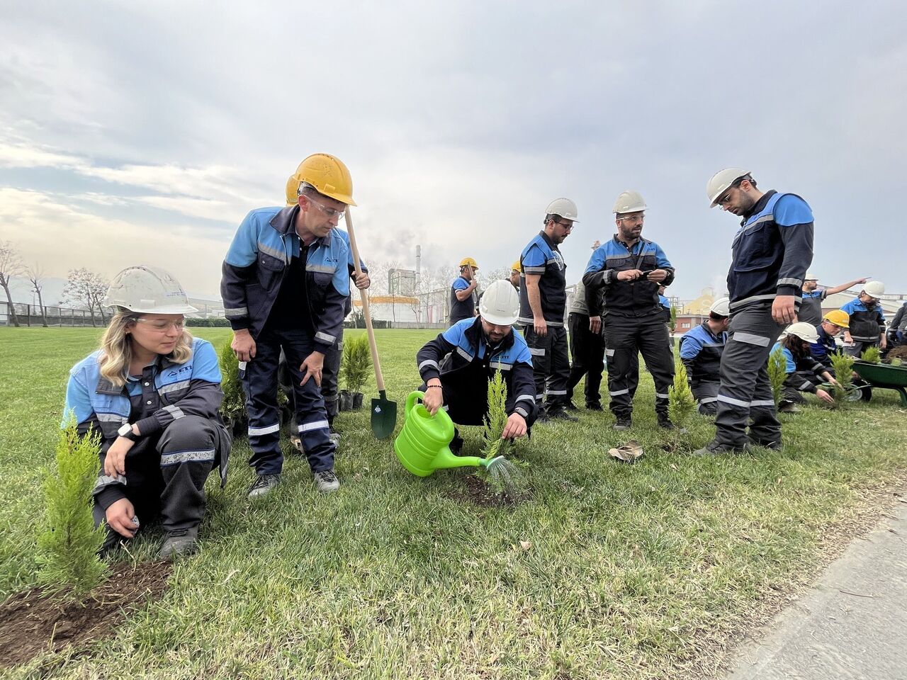 Samsun'da ağaçlandırma seferberliği!