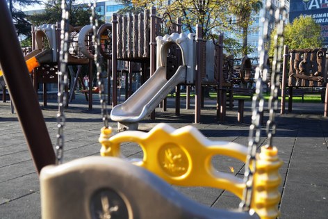 Başkan Kurnaz: "İlkadım'da sahipsiz hayvan problemi ortadan kalkacak"