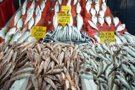 Samsun'da balık fiyatları yükselişte 