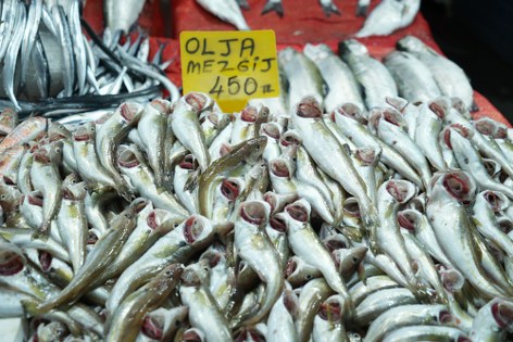 Samsun'da balık fiyatları yükselişte 