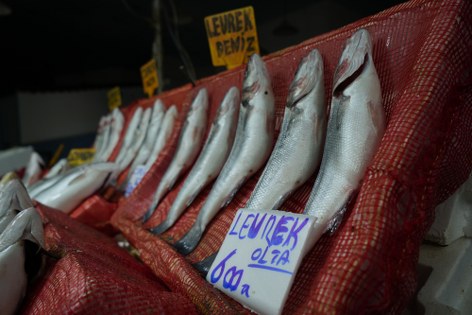 Samsun'da balık fiyatları yükselişte 