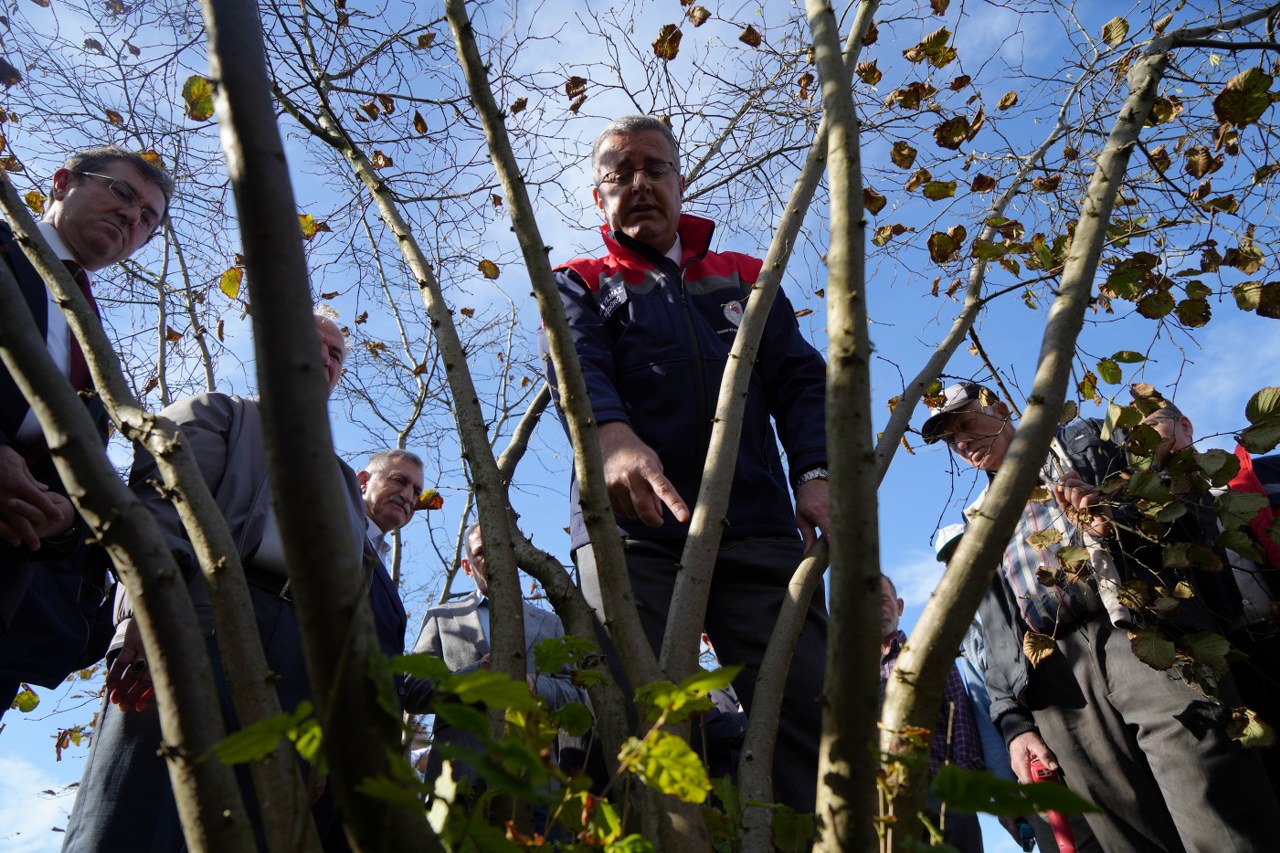 A W581793 01 1280X853