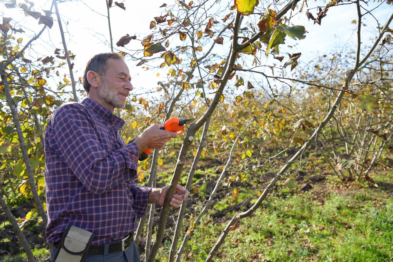 A W581793 02 1280X853